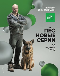 Пёс